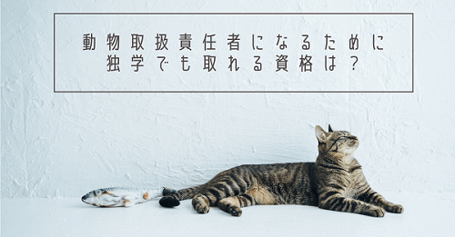 愛玩動物飼養管理士とは 1級と2級の違いなど解説