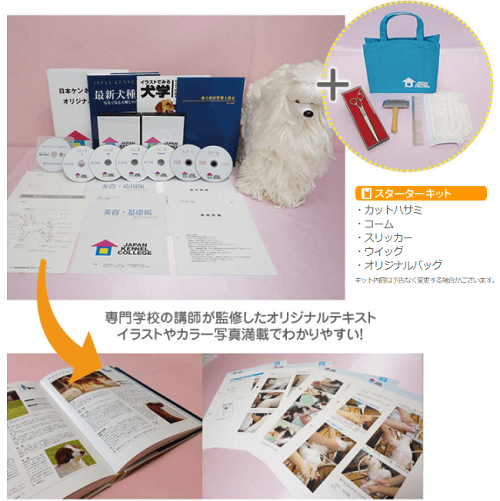 日本ケンネルカレッジのトリマー講座の口コミ 評判は